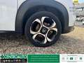 Citroen C3 Aircross 1.5 bluehdi Shine s&s 120cv eat6 Білий - thumbnail 9