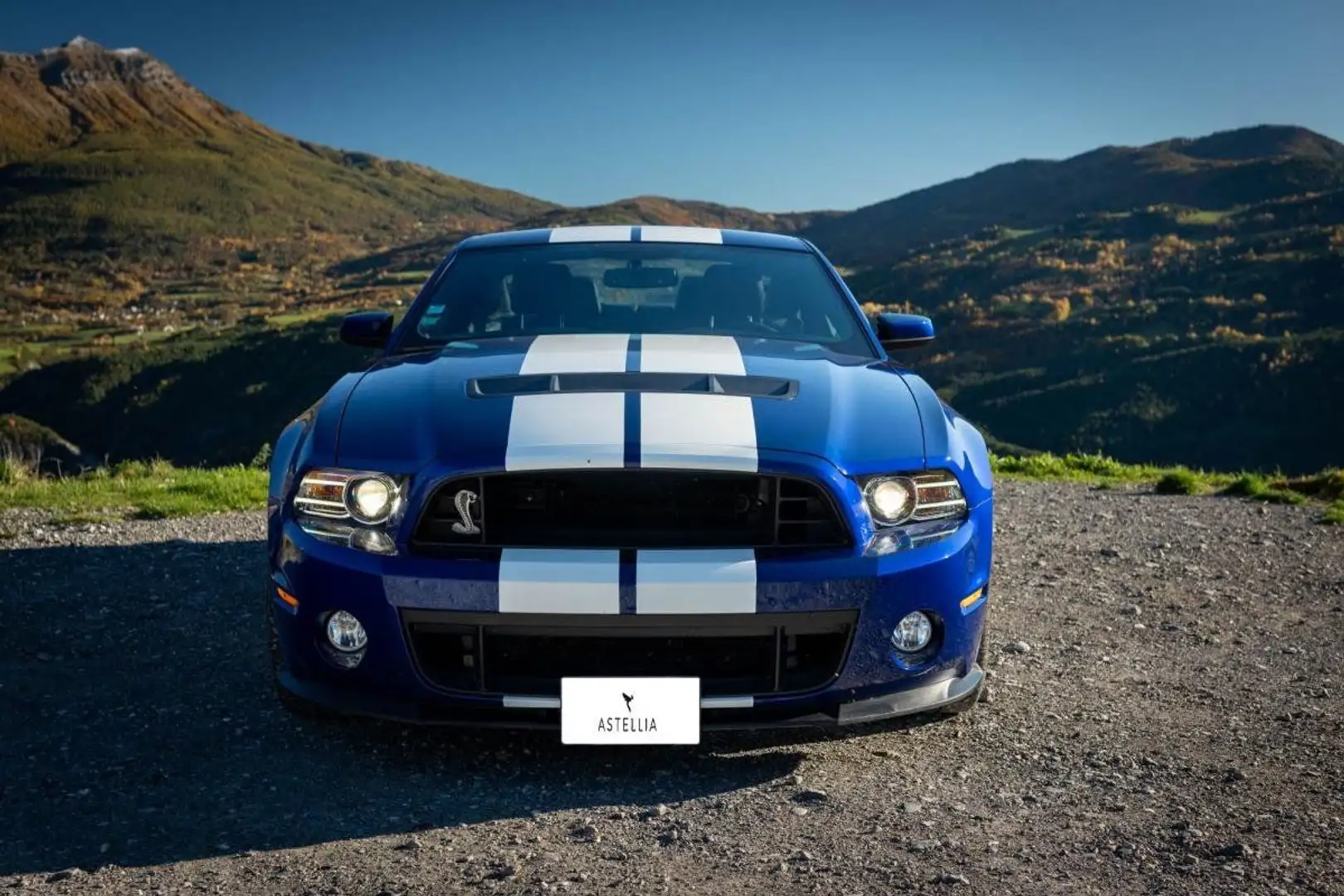 Ford Mustang GT500 V8 5.8 671ch Blau - 2