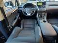 Lexus NX 300 Hybrid Business Unico Proprietario Cronologia Tagl Grau - thumbnail 11