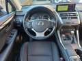 Lexus NX 300 Hybrid Business Unico Proprietario Cronologia Tagl Grau - thumbnail 16