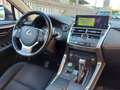 Lexus NX 300 Hybrid Business Unico Proprietario Cronologia Tagl Grau - thumbnail 21