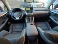 Lexus NX 300 Hybrid Business Unico Proprietario Cronologia Tagl Gris - thumbnail 24