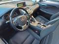 Lexus NX 300 Hybrid Business Unico Proprietario Cronologia Tagl Grau - thumbnail 26