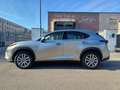 Lexus NX 300 Hybrid Business Unico Proprietario Cronologia Tagl Gris - thumbnail 6