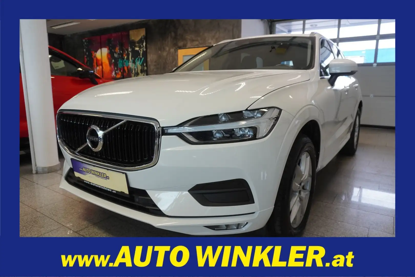 Volvo XC60 D3 Momentum Pro Navi/Kamera/AHK Weiß - 1