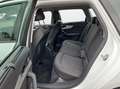 Audi A4 Avant 50 TDI tiptronic quattro S line NaviPlus ... Weiß - thumbnail 12