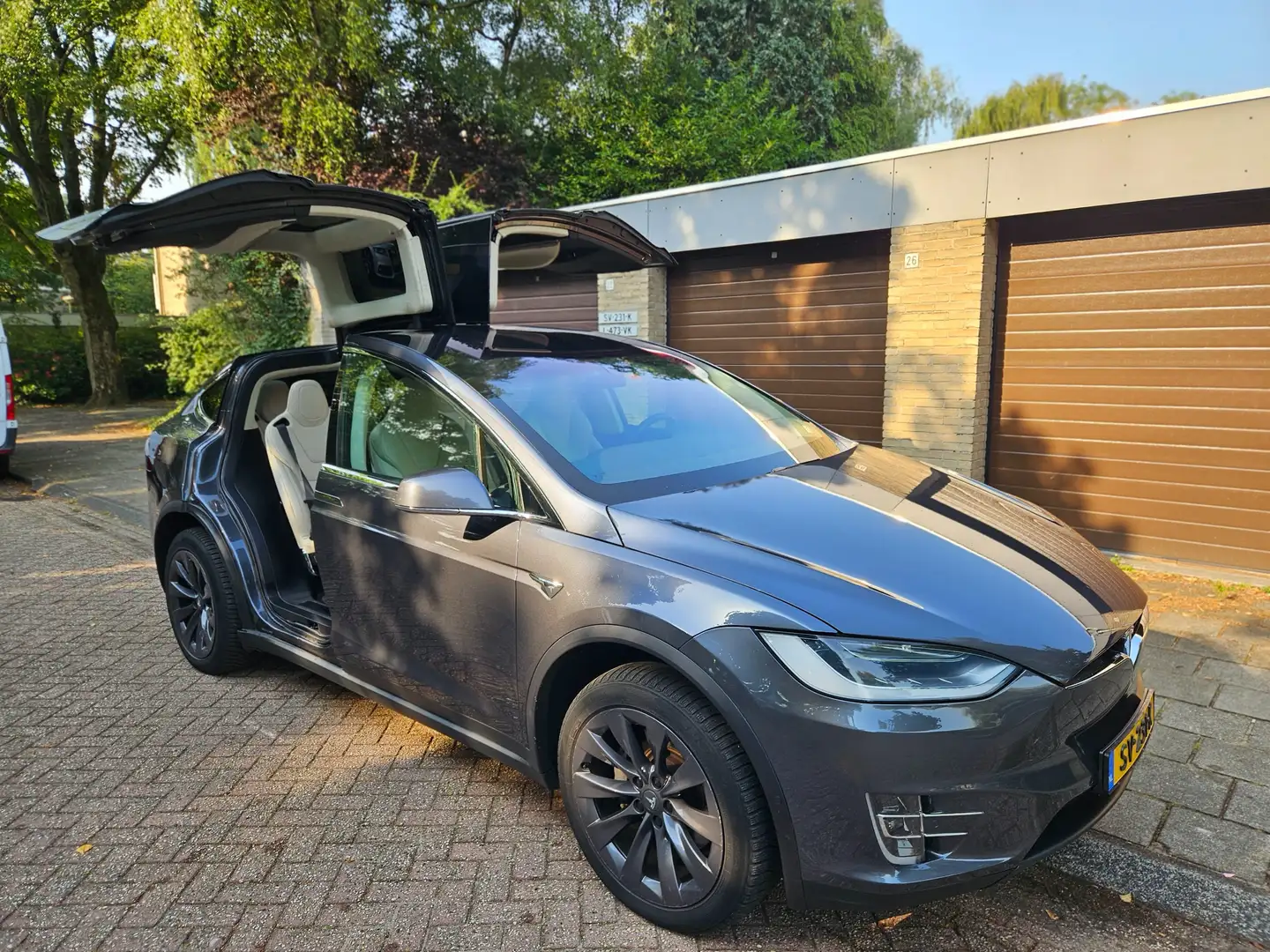 Tesla Model X Model X 100D 6p. Grey - 1