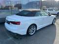 Audi A5 35 TFSI S-line Cabriolet Weiß - thumbnail 3