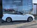 Audi A5 35 TFSI S-line Cabriolet Weiß - thumbnail 10