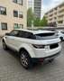 Land Rover Range Rover Evoque Pure Weiß - thumbnail 6