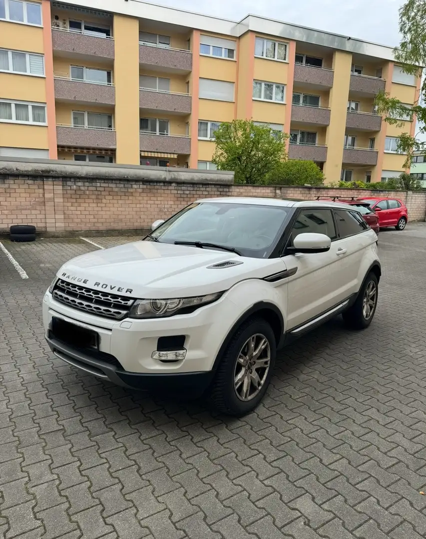 Land Rover Range Rover Evoque Pure Weiß - 1