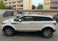 Land Rover Range Rover Evoque Pure Weiß - thumbnail 7