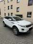 Land Rover Range Rover Evoque Pure Weiß - thumbnail 3