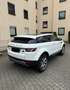 Land Rover Range Rover Evoque Pure Weiß - thumbnail 5