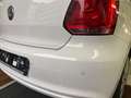 Volkswagen Polo V 1.4 Life/1Hd/Tempom/Sitzh/PDC/VW Sheft Weiß - thumbnail 17