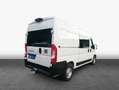 Fiat Ducato Maxi L2H2 103 kW, 4-türig (Diesel) Wit - thumbnail 2