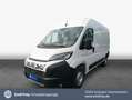 Fiat Ducato Maxi L2H2 103 kW, 4-türig (Diesel) Blanc - thumbnail 1