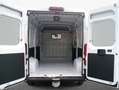 Fiat Ducato Maxi L2H2 103 kW, 4-türig (Diesel) Blanc - thumbnail 4