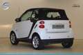 smart forTwo Fortwo 0.9 84PS Turbo Cabrio Leder Servo F1 Weiß - thumbnail 6