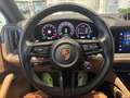 Porsche Cayenne Cayenne E-Hybrid 3.0 V6 - IVA Esposta Blau - thumbnail 13