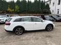 Opel Insignia A Country OPC 4x4*Pano*Leder*EU5*Kamera Blanc - thumbnail 7