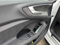 Audi A5 Avant TDI 150 kW S tronic Weiß - thumbnail 14