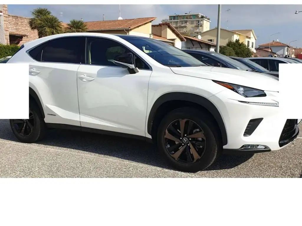 Lexus NX 300 2019 из Европы — купить под ключ