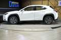 Lexus UX 300e Business White - thumbnail 18