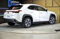 Lexus UX 300e Business White - thumbnail 5