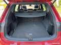 SEAT Tarraco 2.0 TDI 150 ch Diesel Start & Stop 5 places Xperience DSG7 Rot - thumbnail 21