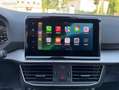 SEAT Tarraco 2.0 TDI 150 ch Diesel Start & Stop 5 places Xperience DSG7 Rot - thumbnail 45