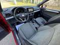 SEAT Tarraco 2.0 TDI 150 ch Diesel Start & Stop 5 places Xperience DSG7 Rot - thumbnail 14