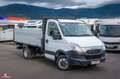 Iveco Daily Pritschenwagen mit Kipper Weiß - thumbnail 3