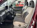 Nissan X-Trail X-Trail I 2001 2.2 td-di Sport Rot - thumbnail 12