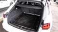 Audi A6 Avant 3.0 TDI*SLINE*KAM*ACC*PANO Blanco - thumbnail 5