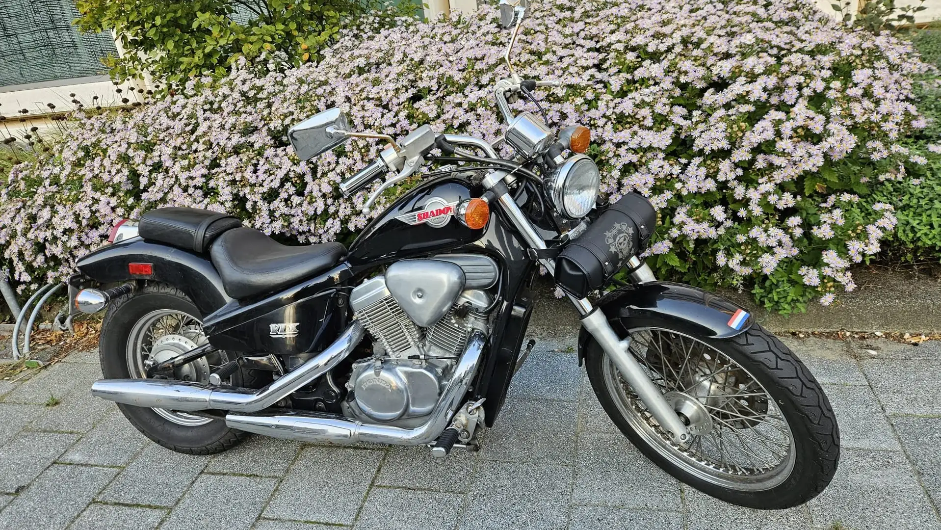 Honda Shadow 600 VLX Zwart - 1