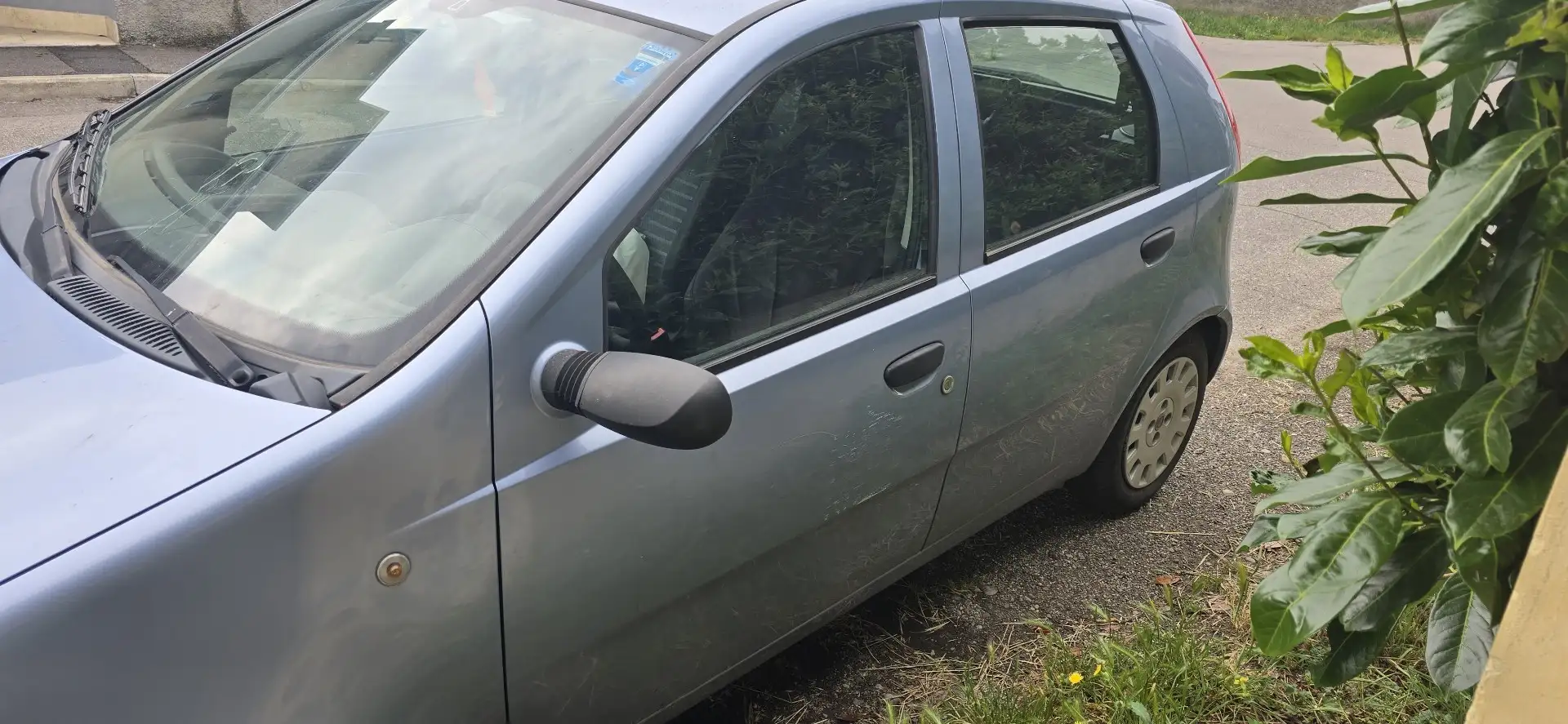 Fiat Punto 5p 1.2 Classic Active - 2