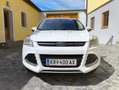 Ford Kuga 2.0 TDCi 4x4 Titanium - thumbnail 9