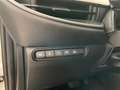 Fiat 500e 118PS Sitzheizung PDC Klimaautomatik Weiß - thumbnail 18