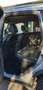 Ford Kuga 2.0 tdci Titanium 2wd 140cv Argento - thumbnail 9