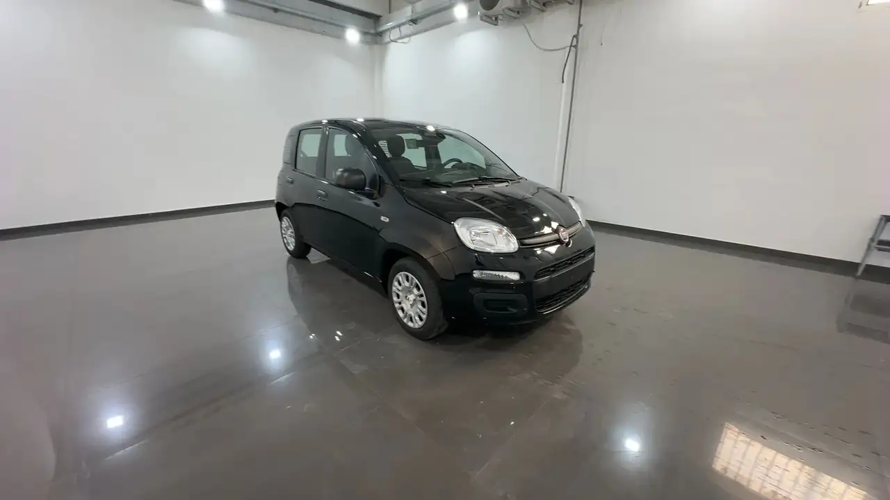 Fiat Pandina