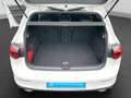 Volkswagen Golf GTI CLUBSPORT LM18 KAMERA LED ASSIST APP-CO Weiß - thumbnail 15