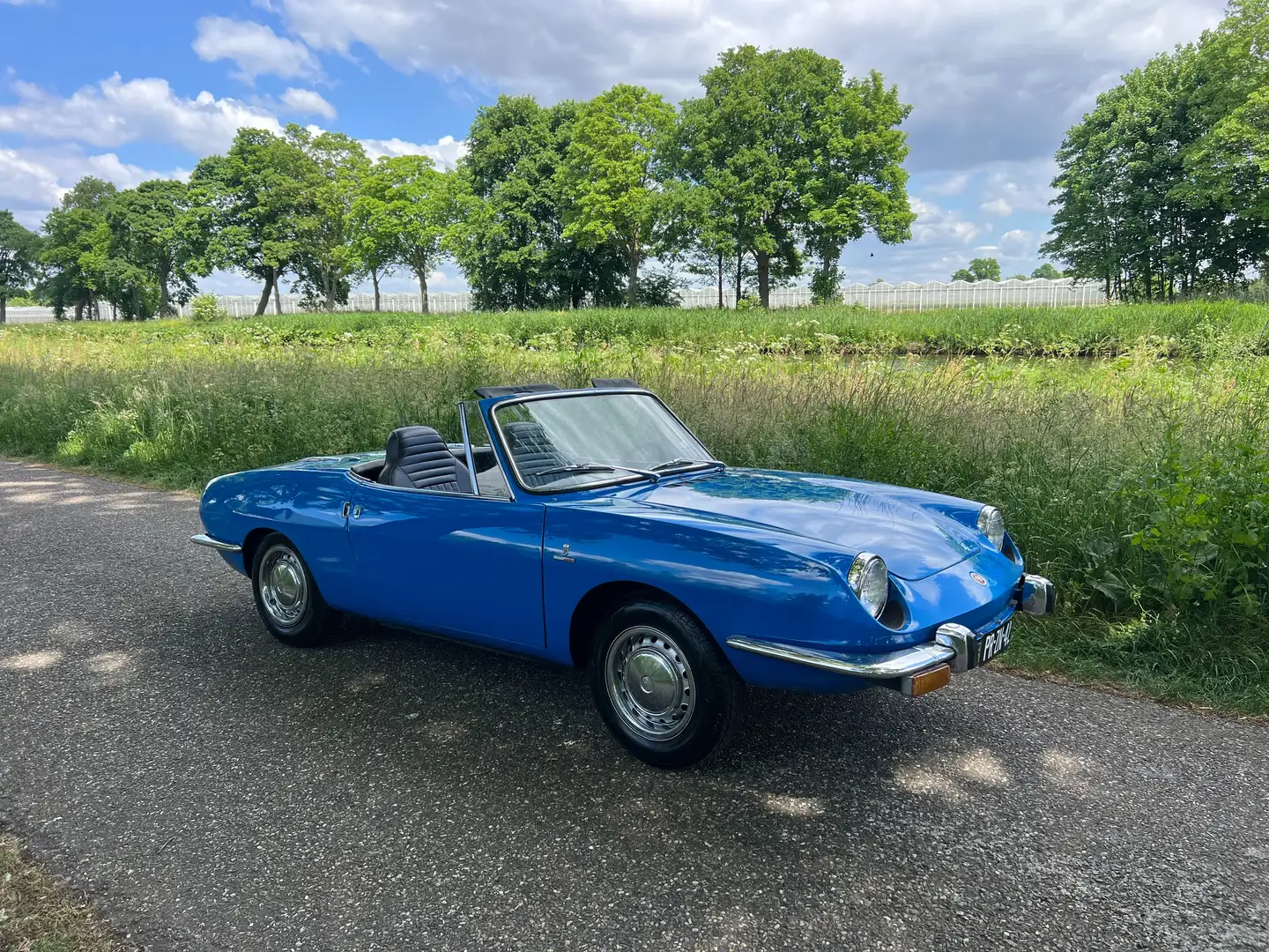 Fiat 850 Spider Blau - 2