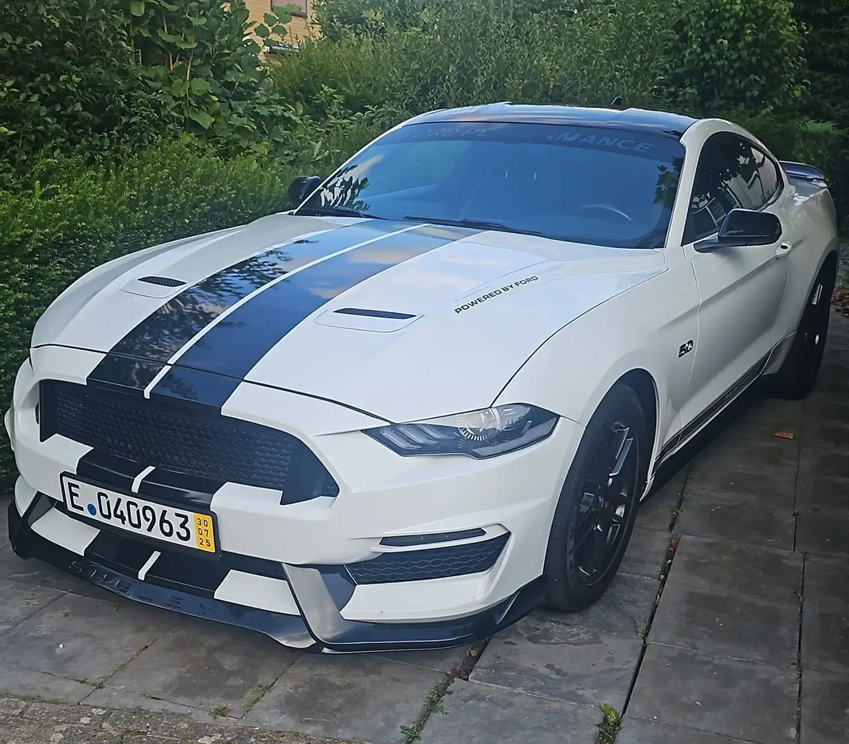 Ford Mustang Fastback 5.0 ti-vct V8 Bullit GT 460cv - 1