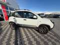 Fiat Panda Panda III 2012 4x4 1.3 mjt 16v Cross 4x4 80cv Blanc - thumbnail 6