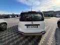 Fiat Panda Panda III 2012 4x4 1.3 mjt 16v Cross 4x4 80cv Blanc - thumbnail 5