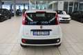Fiat Panda 1.0 FireFly S&S Hybrid Wit - thumbnail 4