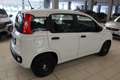 Fiat Panda 1.0 FireFly S&S Hybrid Wit - thumbnail 6