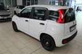 Fiat Panda 1.0 FireFly S&S Hybrid Wit - thumbnail 5