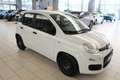 Fiat Panda 1.0 FireFly S&S Hybrid Wit - thumbnail 2